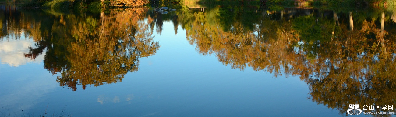 DSC_3447_46.jpg