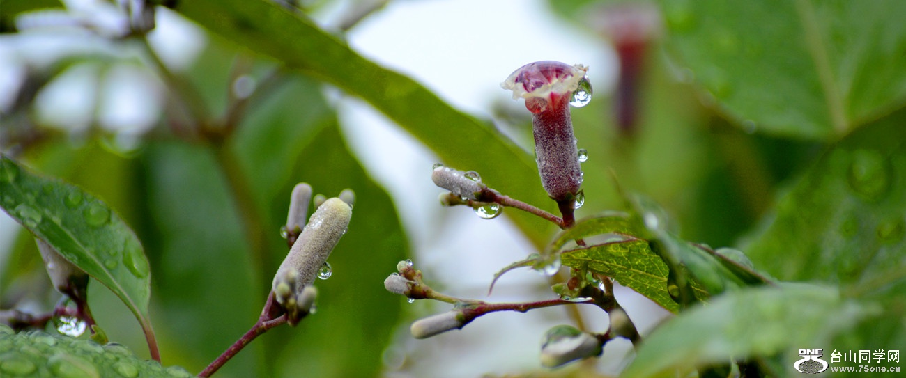 DSC_2670_15.jpg