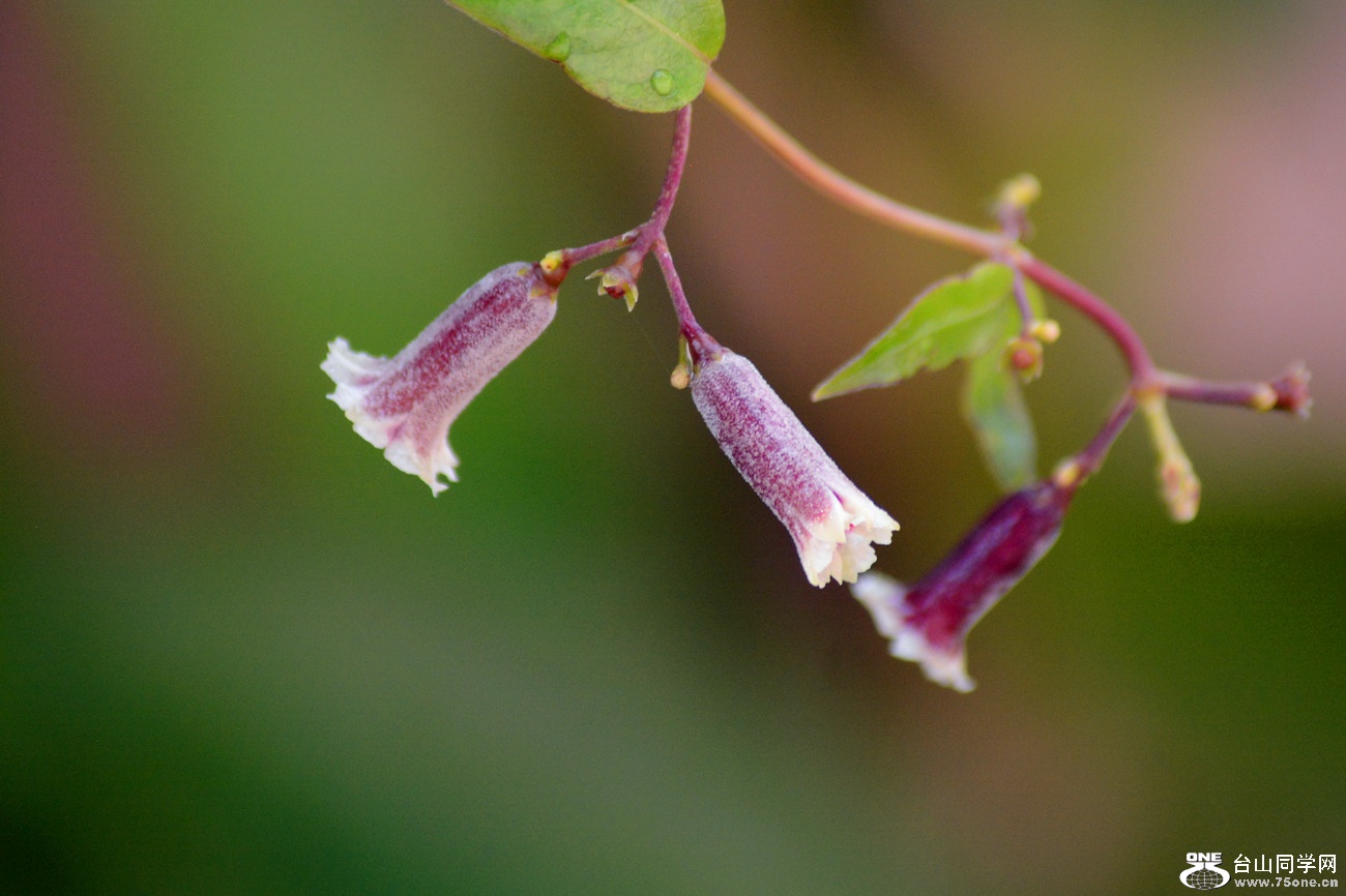 DSC_3056_61.jpg