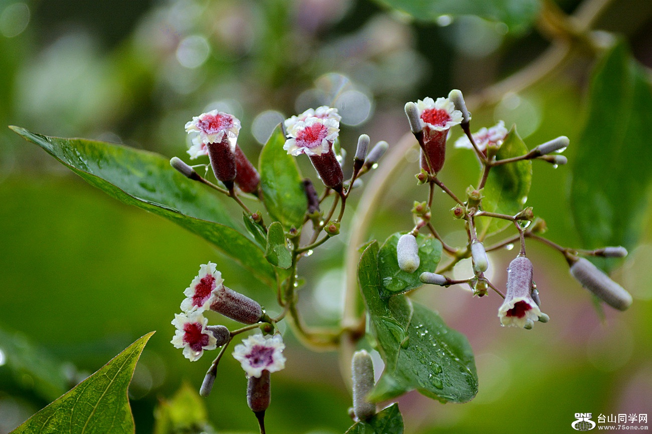 DSC_2755_28.jpg