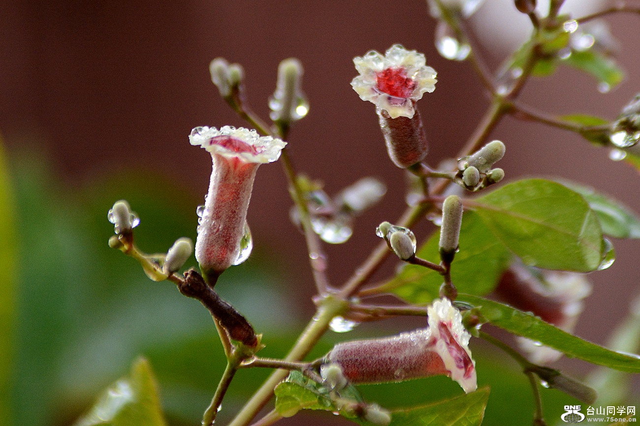DSC_2783_33.jpg