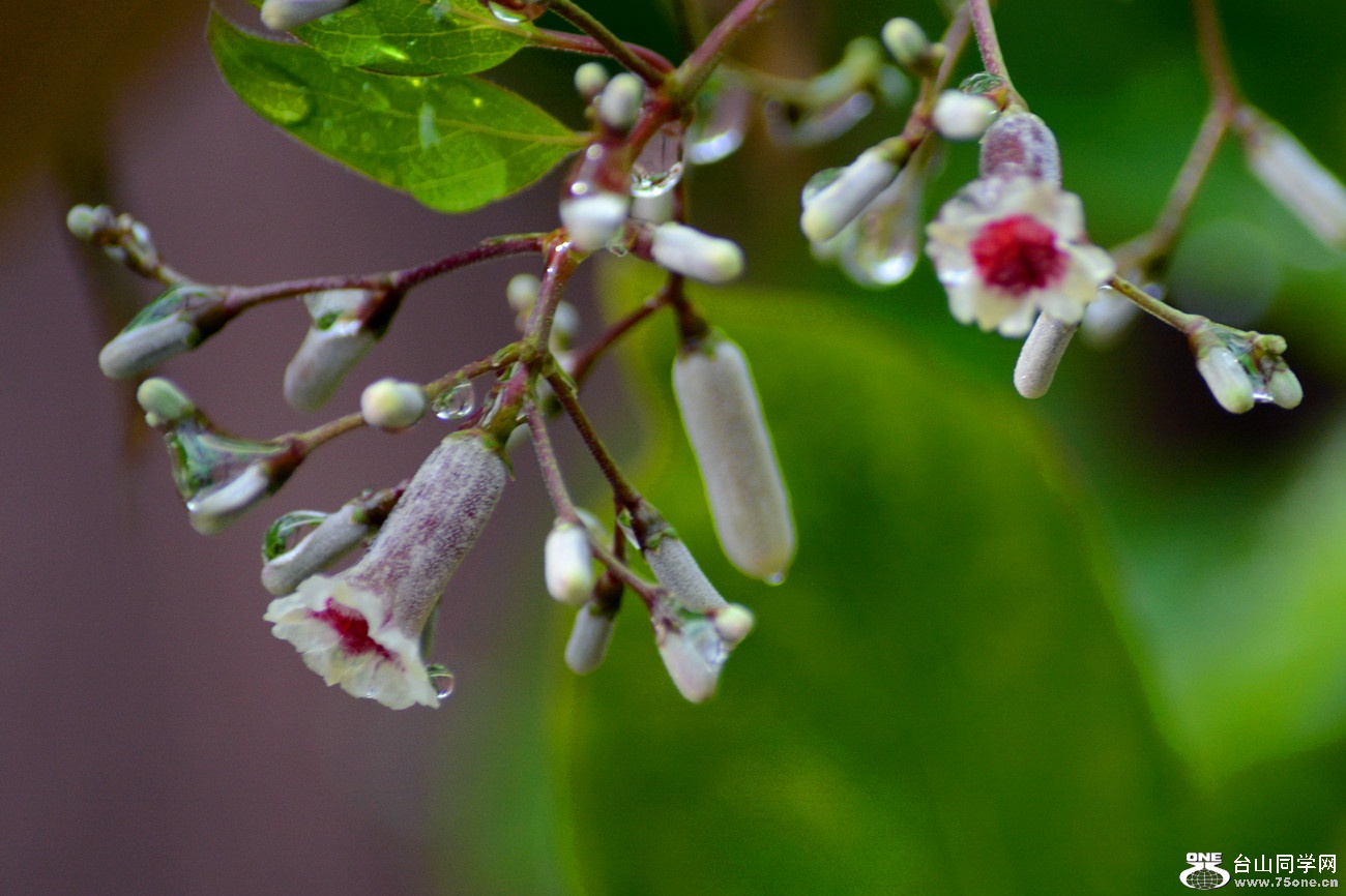 DSC_2674_16.jpg