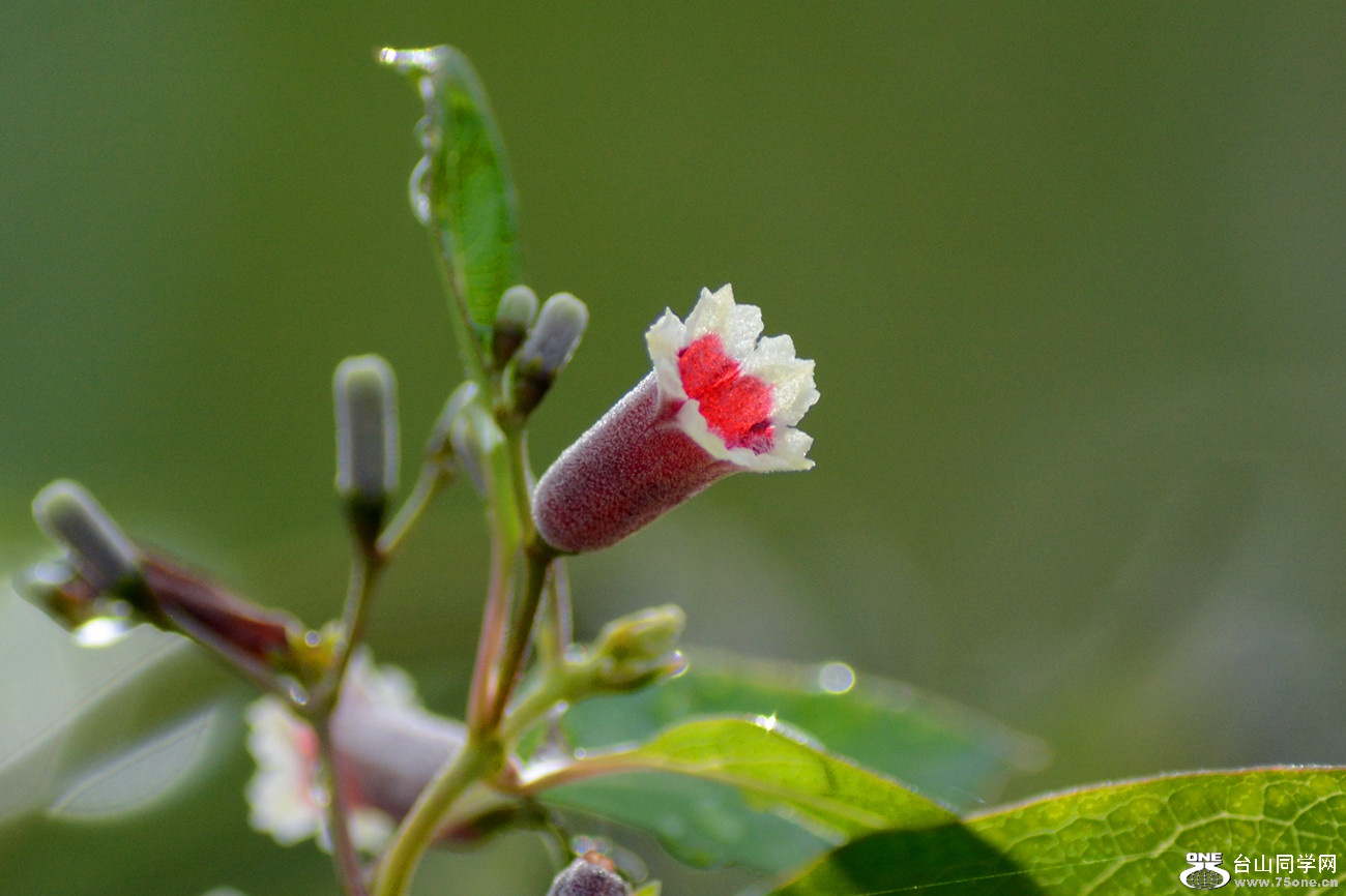 DSC_2914_49.jpg