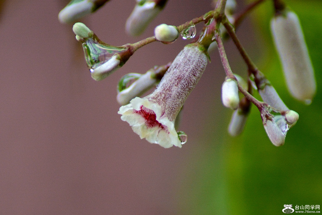 DSC_2678_18.jpg