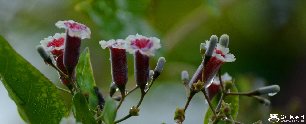 DSC_2766_29.jpg