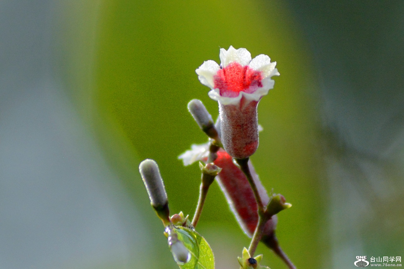DSC_2770_30.jpg