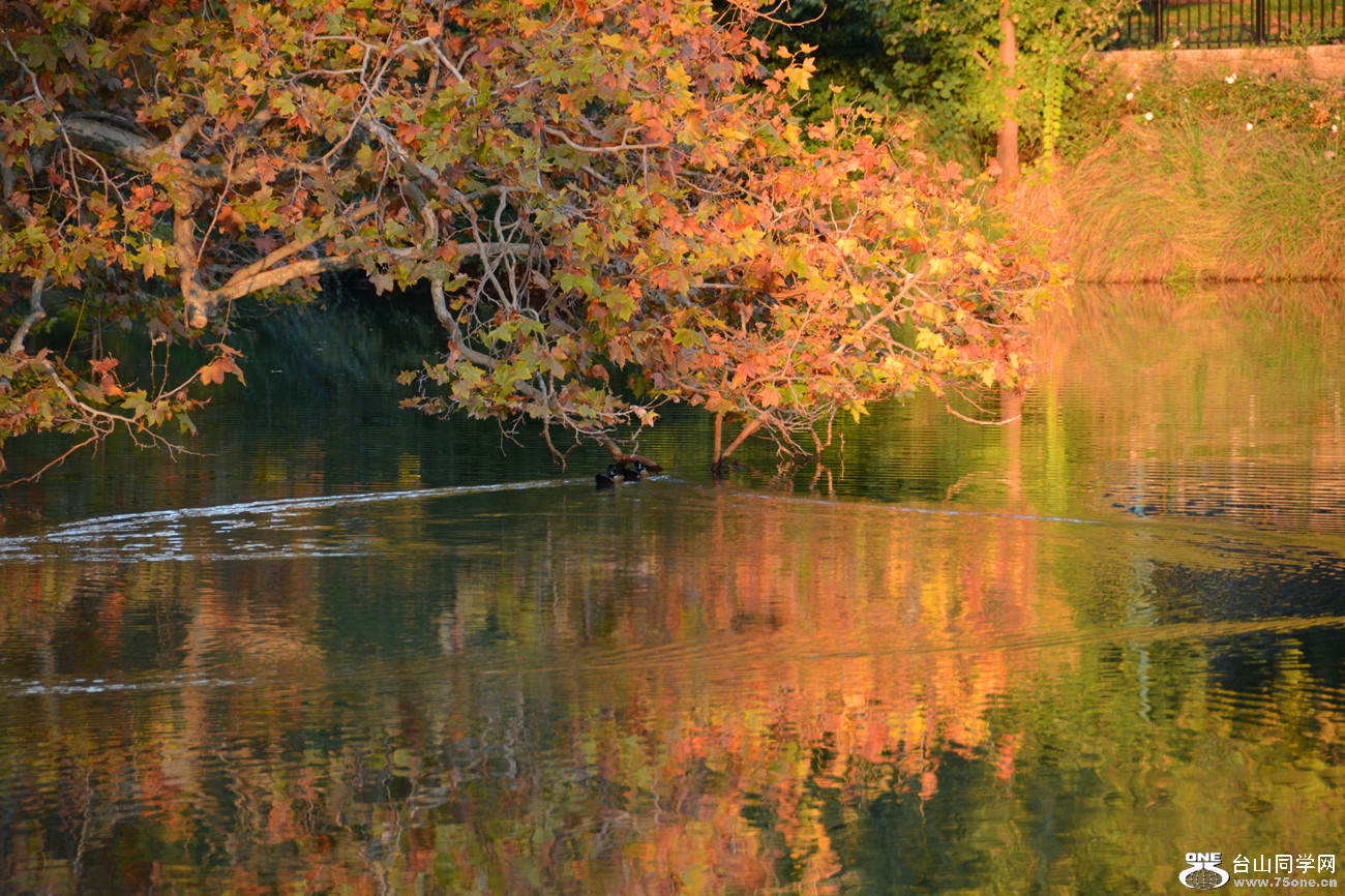 DSC_3497_37.jpg