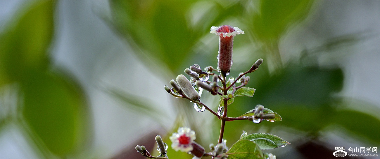 DSC_2689_21.jpg