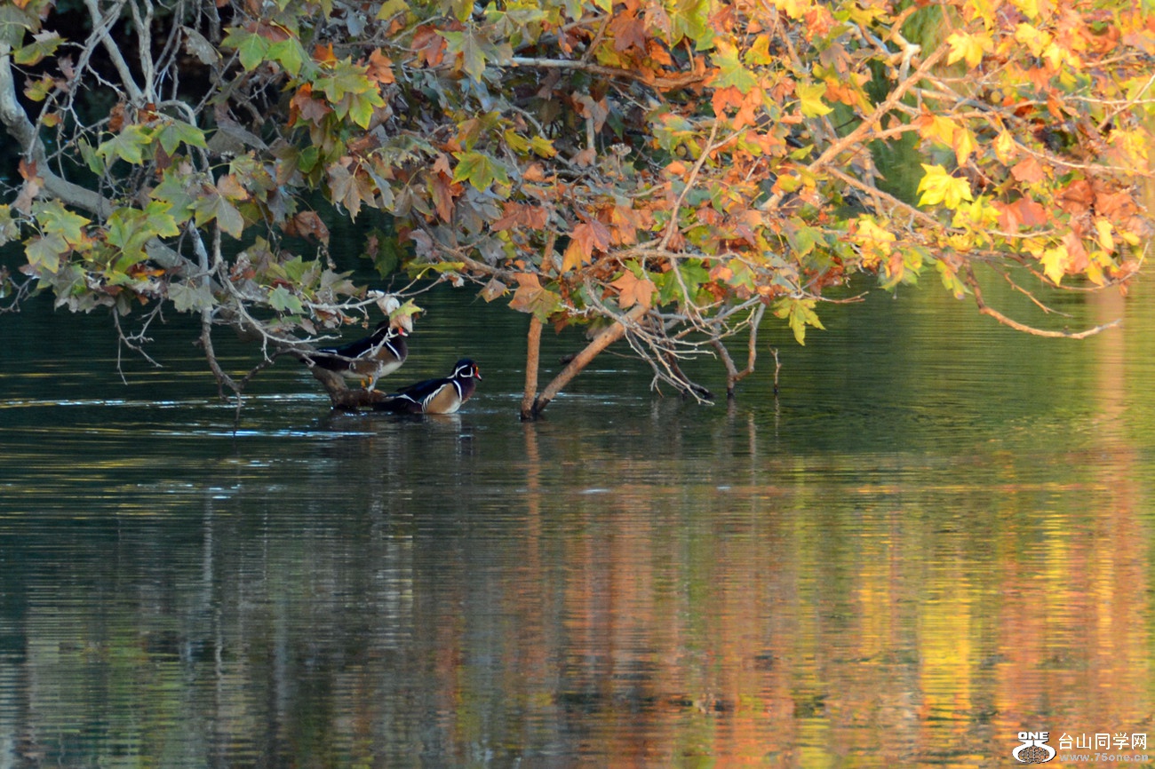 DSC_3512_41.jpg