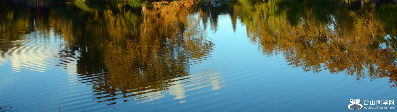 DSC_3411_50.jpg