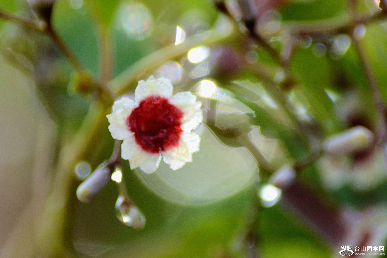 DSC_2808_38.jpg