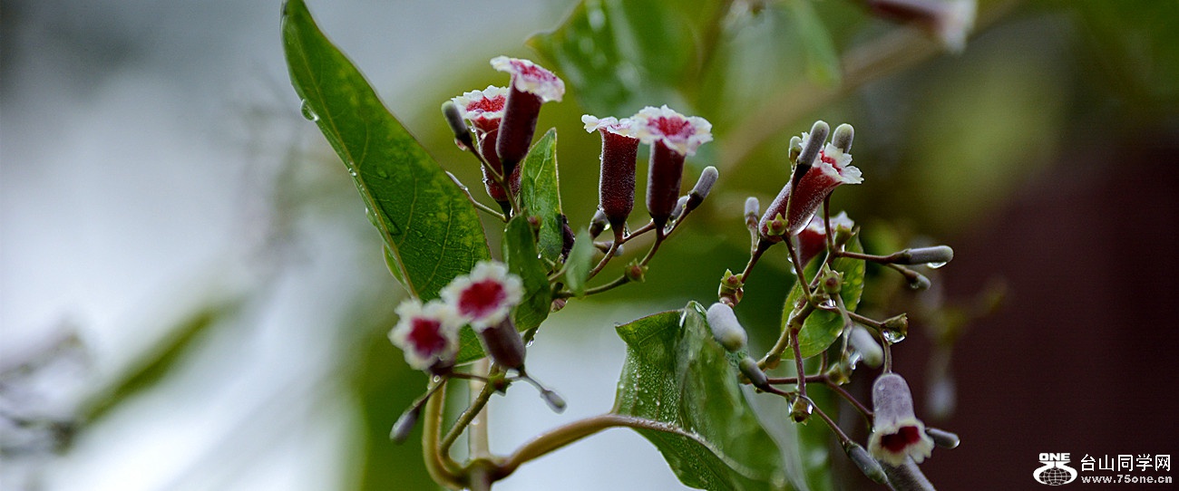 DSC_2759_29.jpg