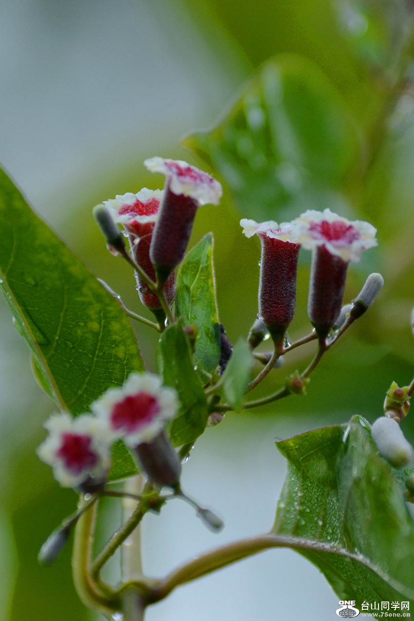 DSC_2759_32.jpg