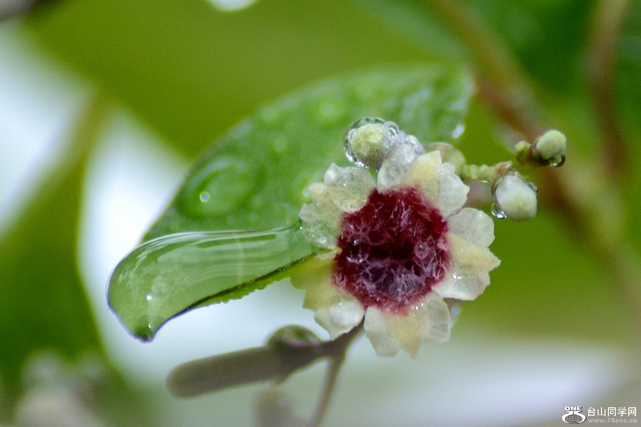 DSC_2682_19.jpg
