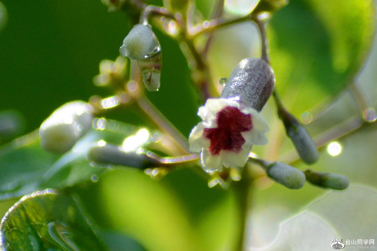 DSC_2806_37.jpg