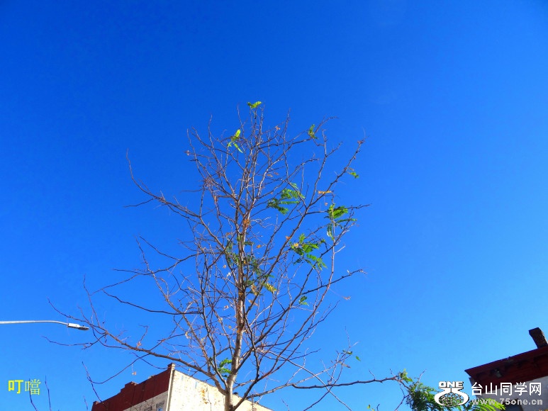 DSC08081a_1.jpg