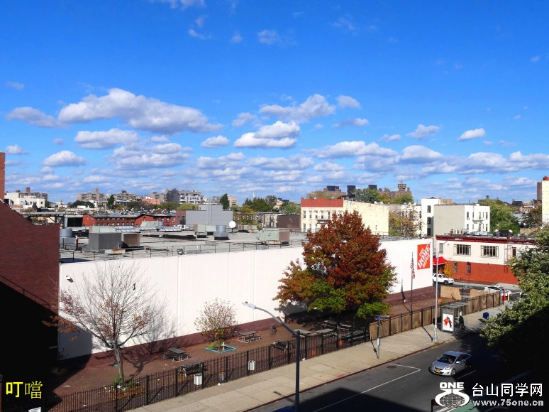 DSC07816a_1.jpg