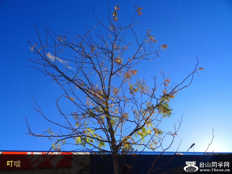 DSC08083a_1.jpg