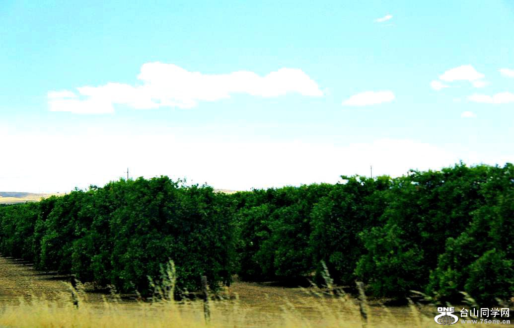 IMG_6503.JPG