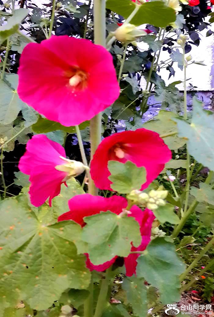 20160615_202403_LLS.jpg