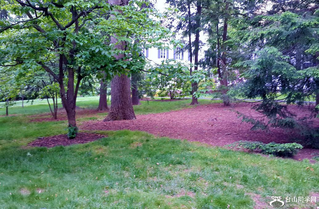 20160601_174838.jpg