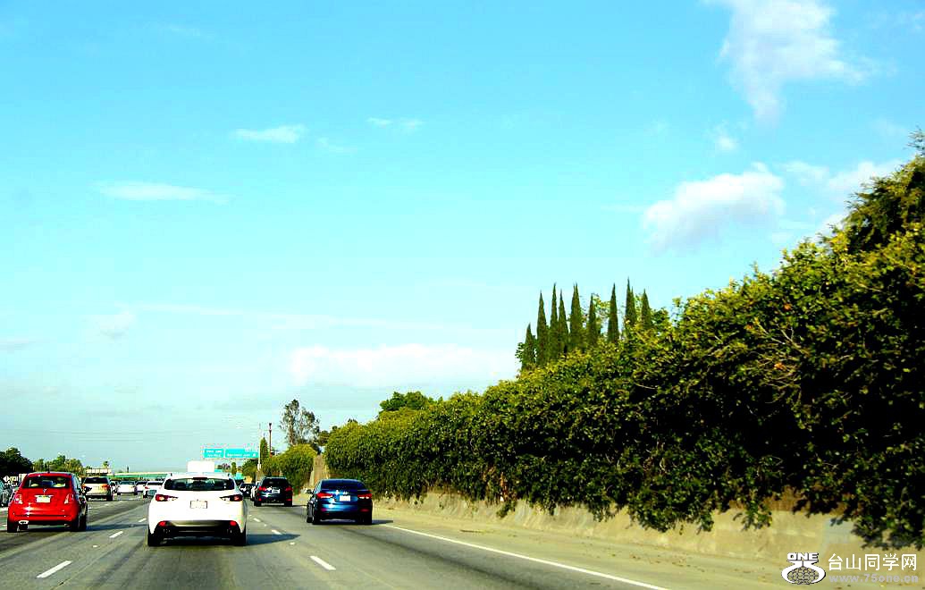 IMG_6611.JPG