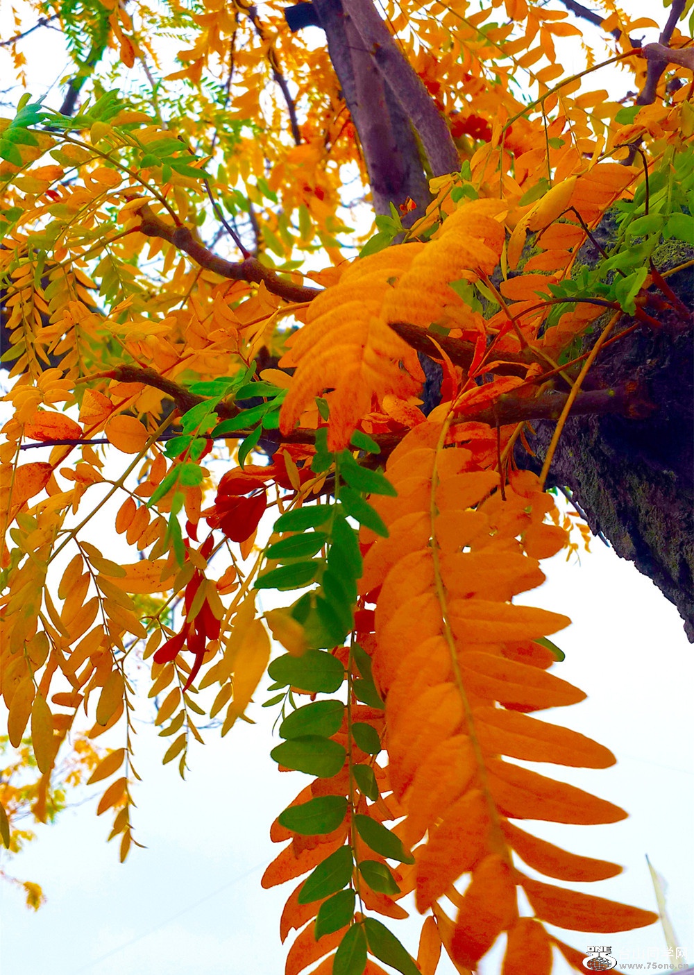 20161020_161044_.jpg