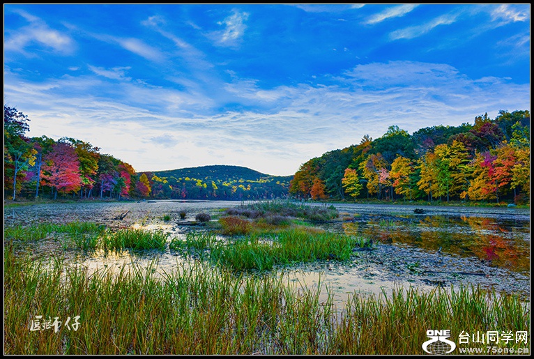 DSC_3650.jpg