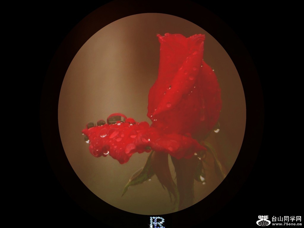 l2930185_conew4.jpg