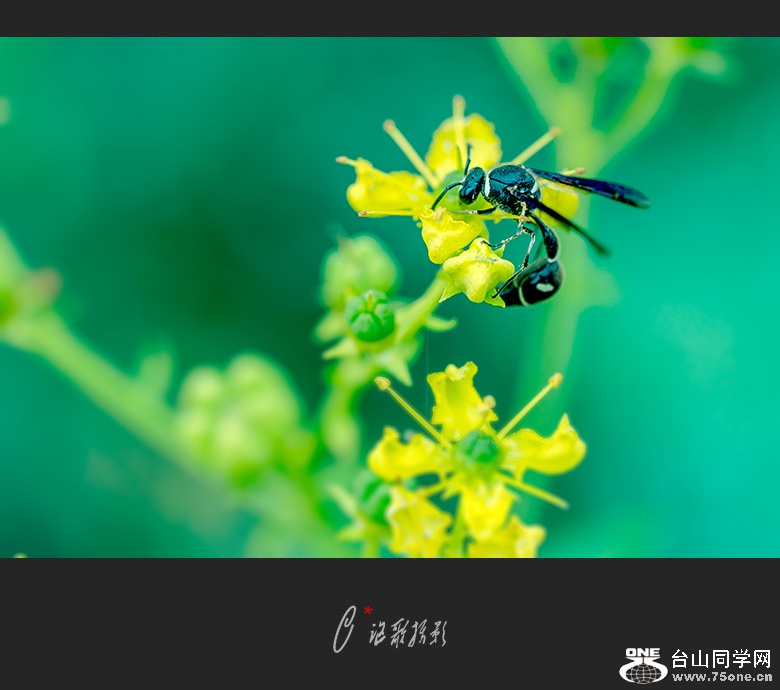 2016a-0605.jpg
