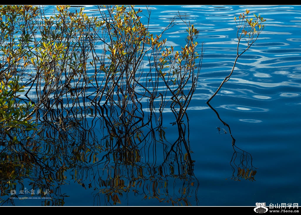 DSC_9584s.jpg