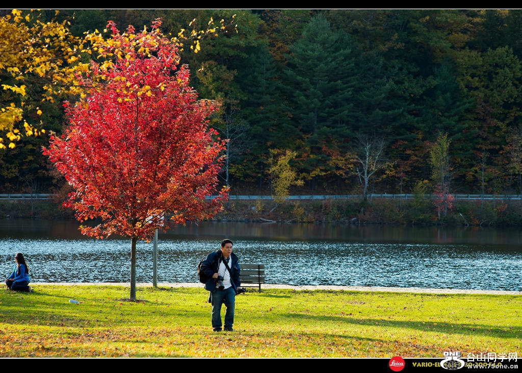 DSC_9598s.jpg