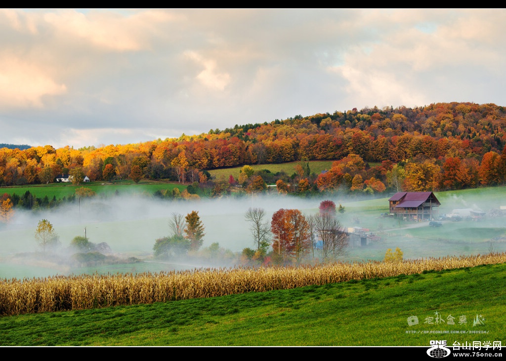 DSC_9786s.jpg