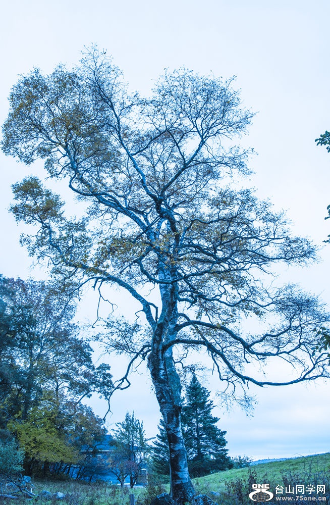 _DSC7498_.jpg