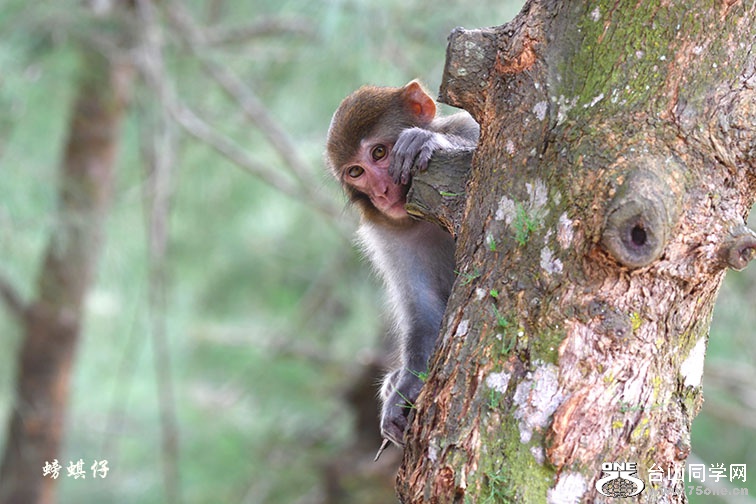DSC_0012360.jpg