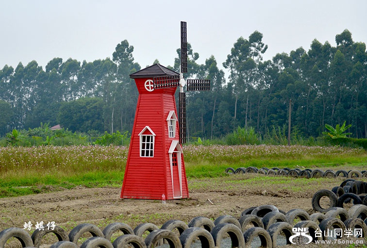 DSC_0012369.jpg