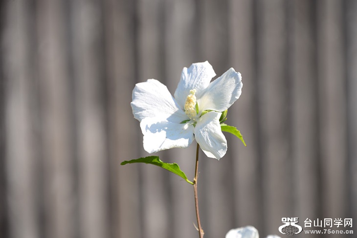 DSC_5064_.jpg