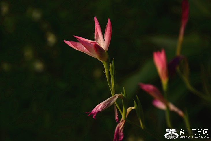 DSC_5139_.jpg