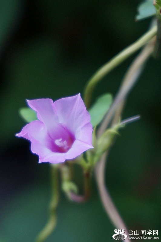 DSC08418.JPG