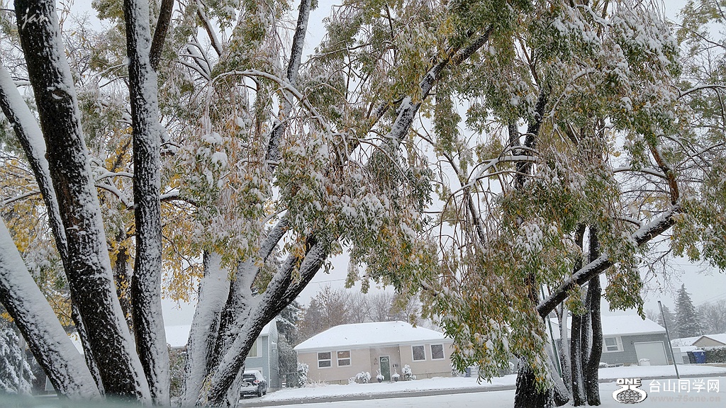 20161005_104218_HDR.jpg
