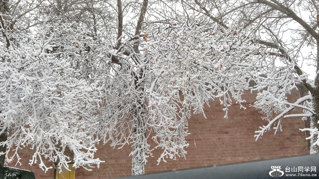 20161005_084201_HDR.jpg