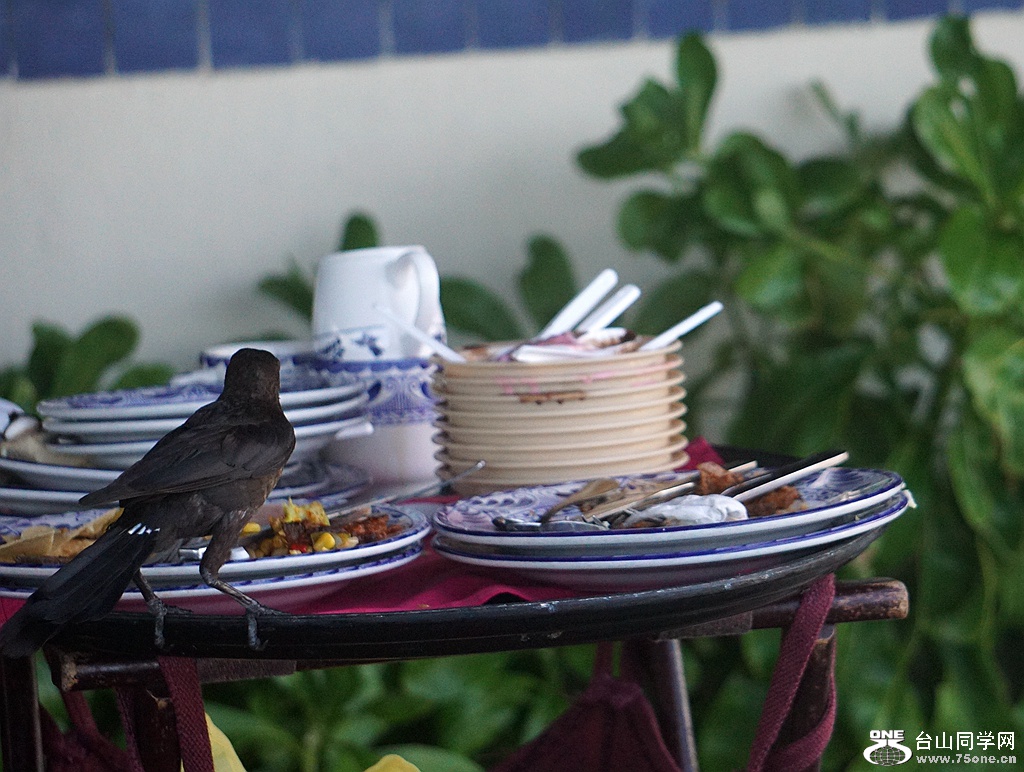 DSC02788.JPG