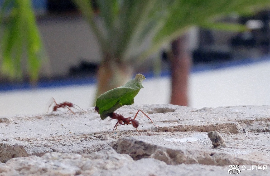 20160828_170319_HDR.jpg
