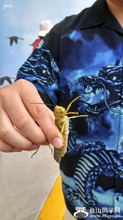 20160828_103714_HDR.jpg