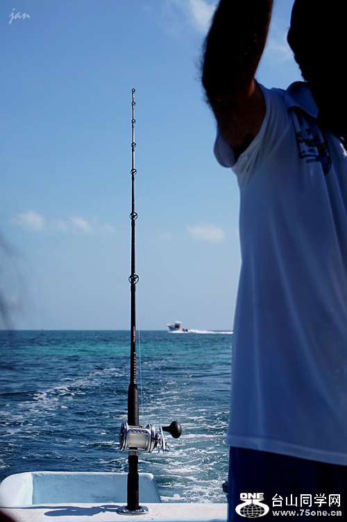 DSC02686.JPG