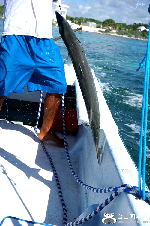 DSC02704_.jpg