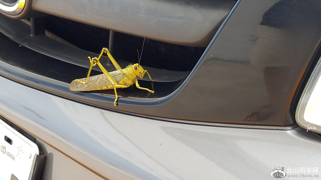 20160828_103553_HDR.jpg
