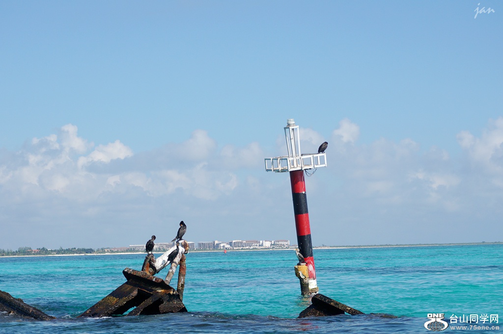 DSC02655_.jpg