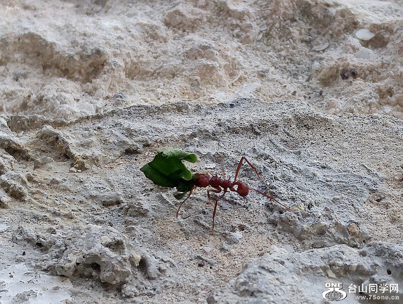 20160828_170243_HDR.jpg