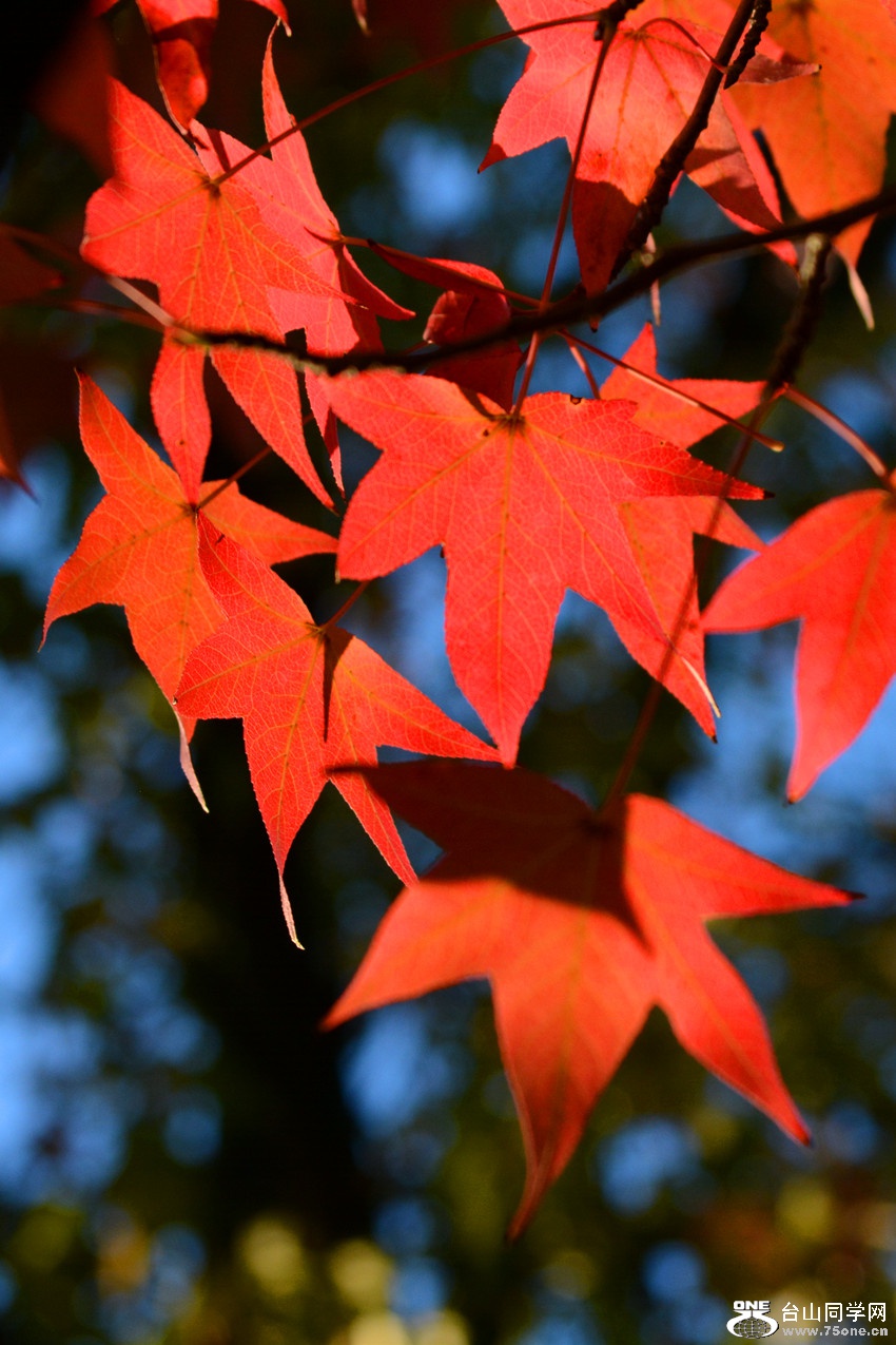 DSC_3355_53.jpg